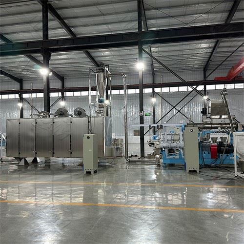 dry type fish feed extruder line