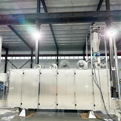 Fully Automatic Fish Feed Production Line